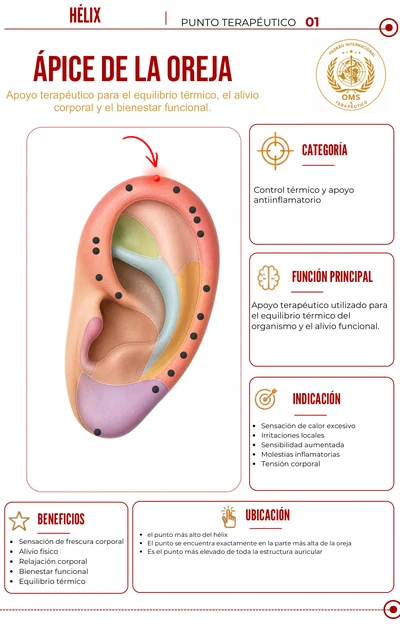 Auriculoterapia: punto 1